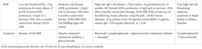 Treatment of membranous nephropathy: Perspectives on current and future therapies